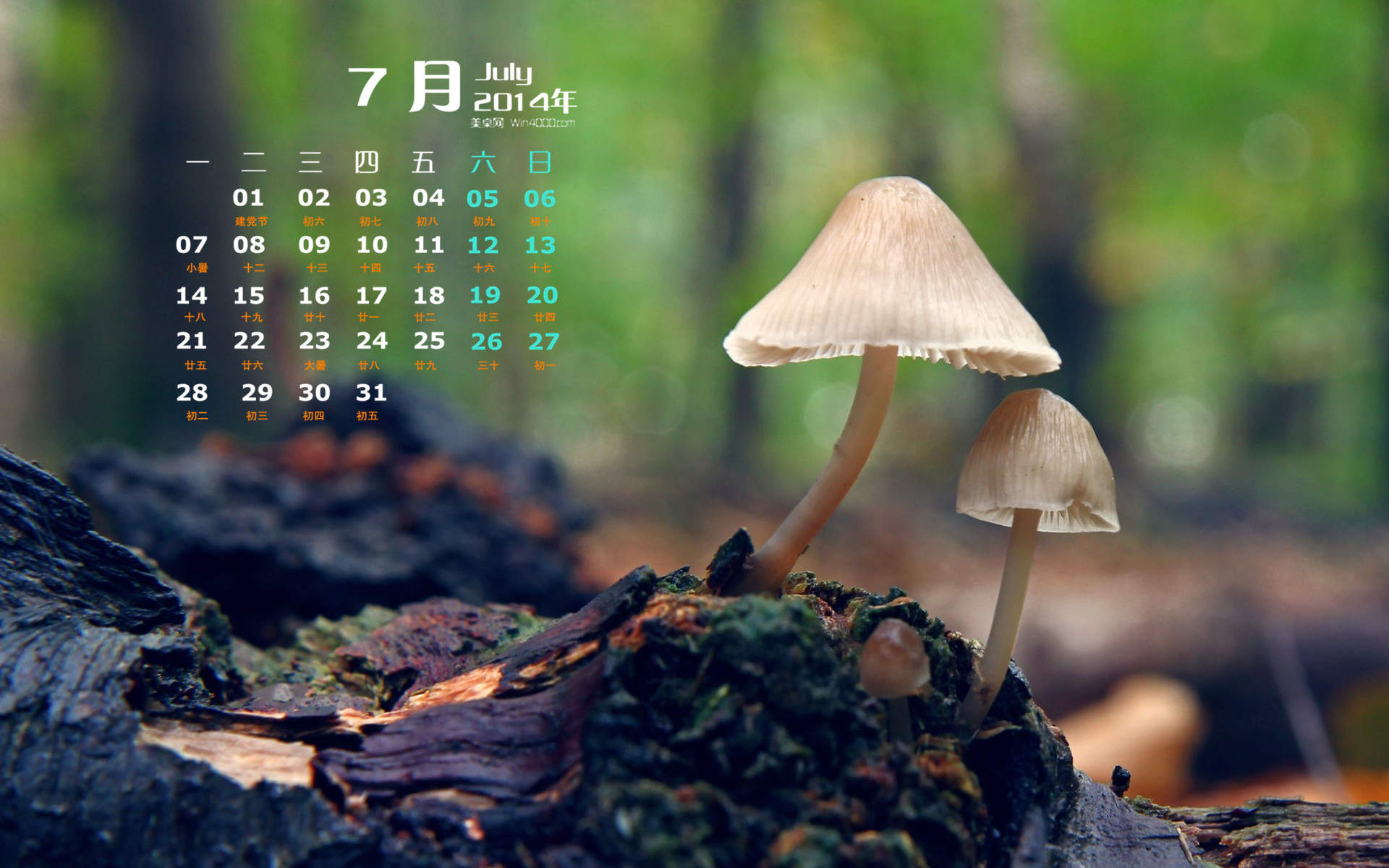 2014年11月日历壁纸唯美好看的大自然森林公园风景图片(一)图片