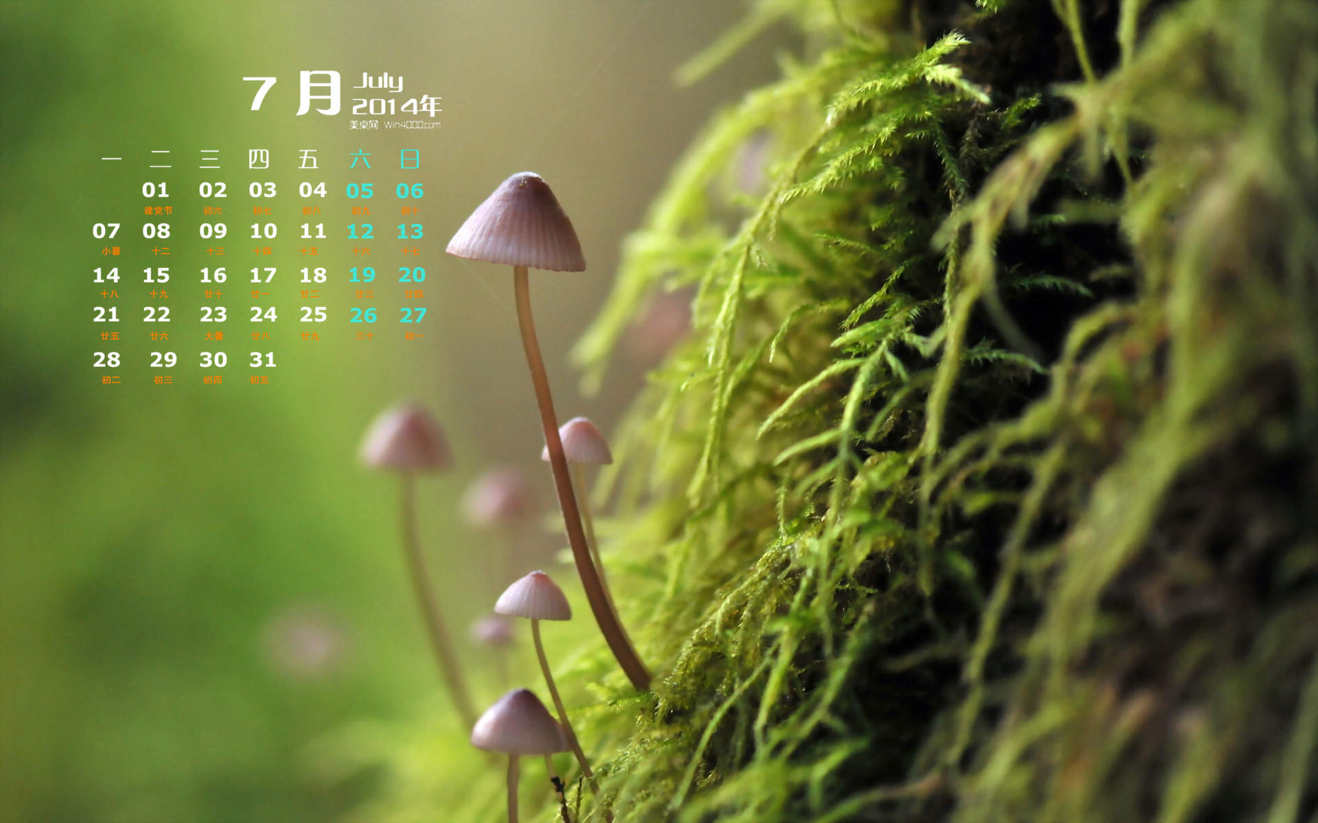 2015年6月日历壁纸清新大自然森林美景绿色护眼高清图片图片