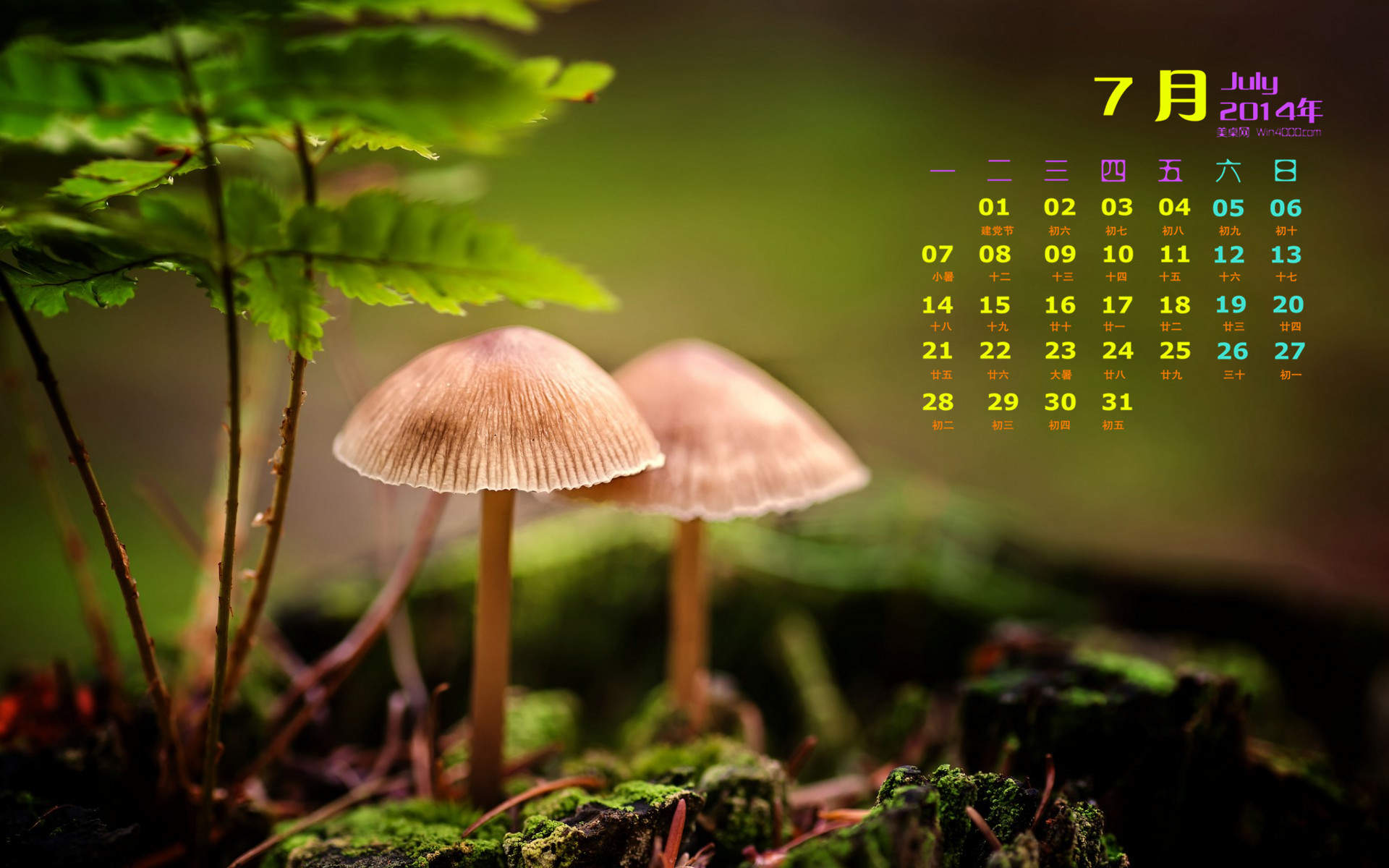 2014年11月日历壁纸唯美好看的大自然森林公园风景图片(一)图片