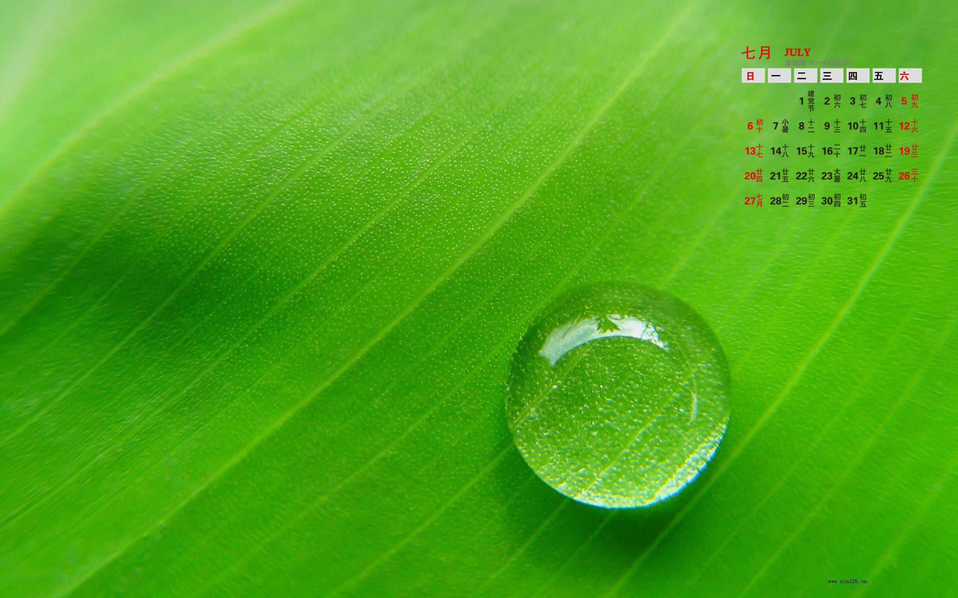 高清雨水清新护眼绿色水滴露珠高清桌面壁纸图片