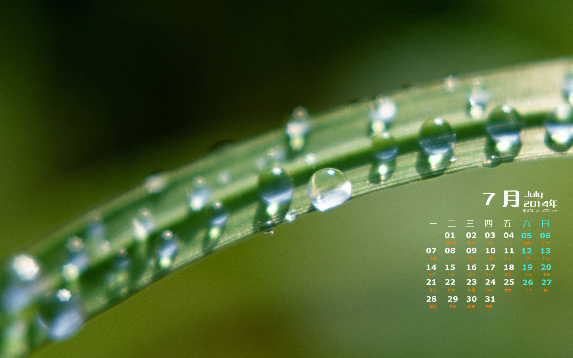 高清雨水清新护眼绿色水滴露珠高清桌面壁纸图片