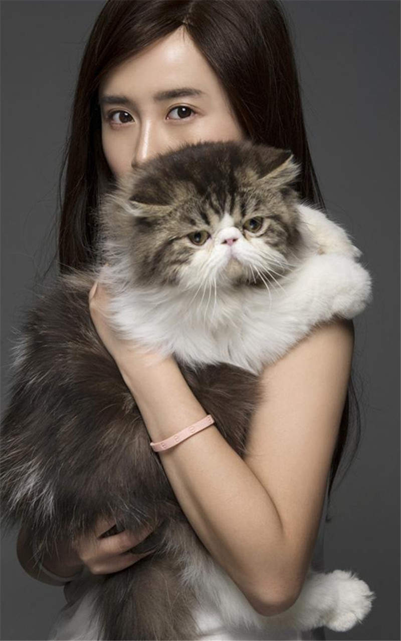 夏梓桐与猫咪拍写真可爱唯美手机壁纸图片