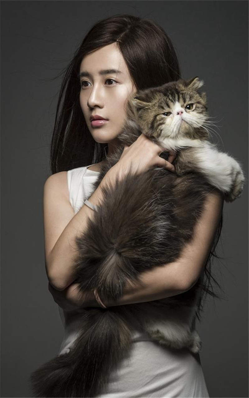 可爱超清的大图合集猫咪手机壁纸下载图片