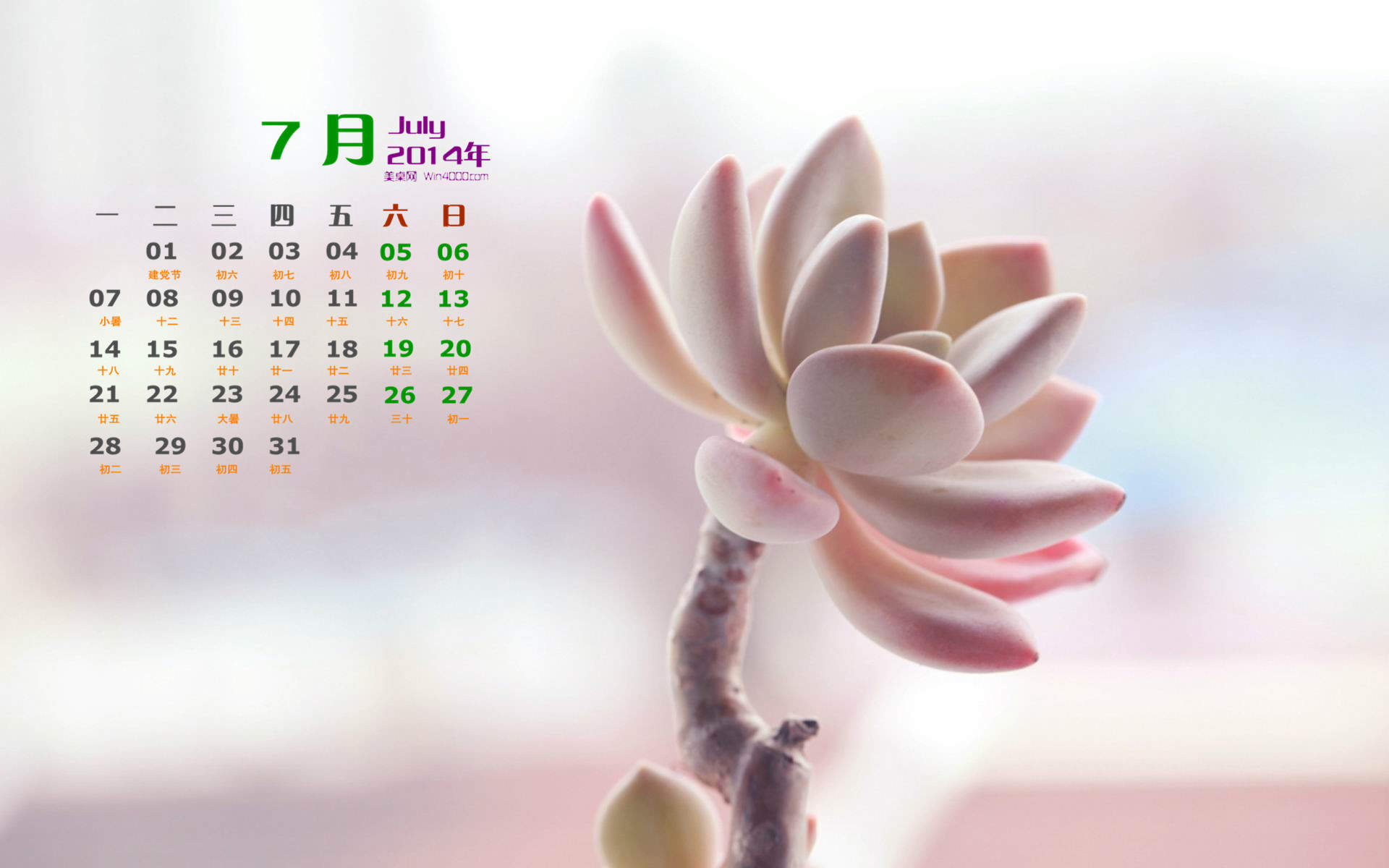 多肉植物创意多边形插画图片图片