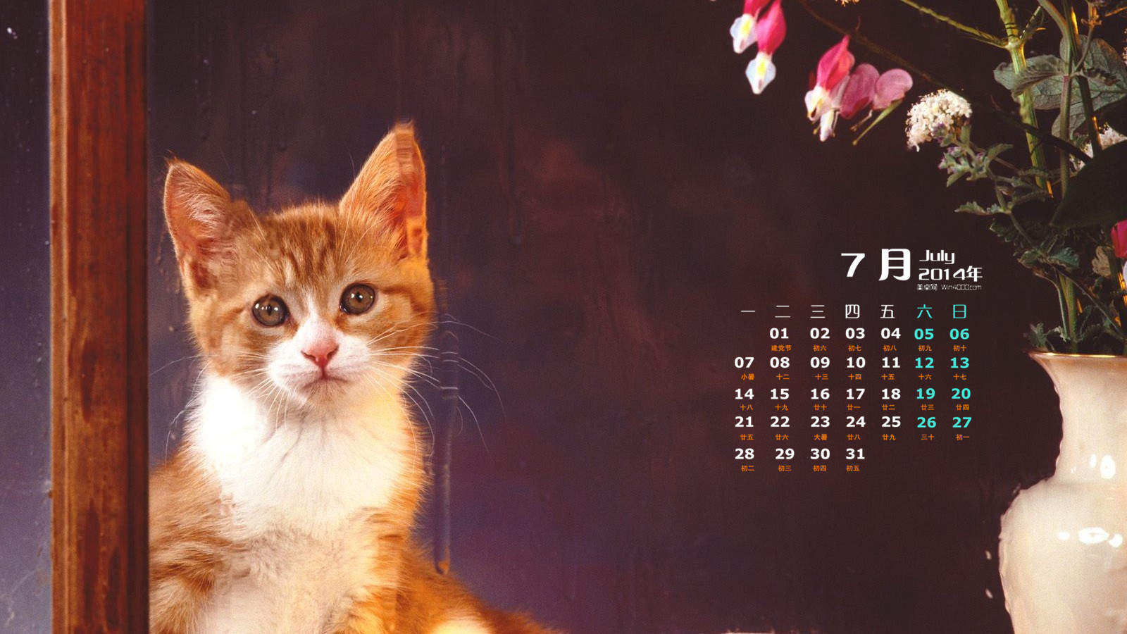 可爱宠物小猫咪呆萌抓拍特写桌面壁纸下载图片