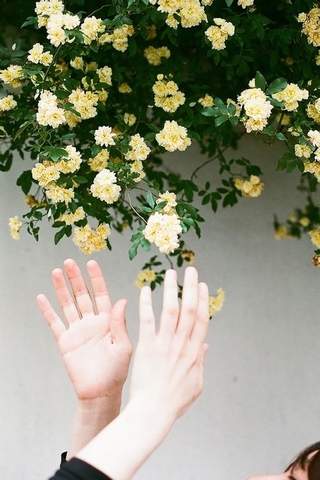 花束图片图片