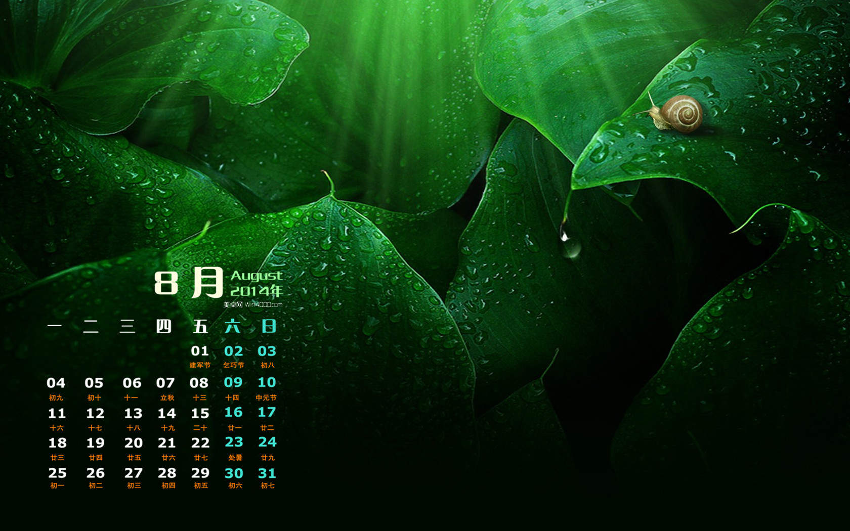 高清大自然清新护眼植物手机壁纸下载第二辑图片