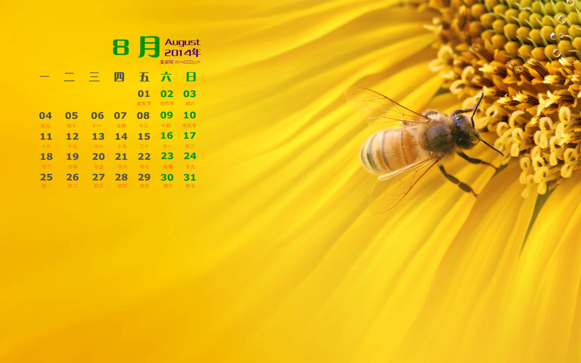 2014年9月日历壁纸秋季唯美意境向日葵田园风风光(二)图片