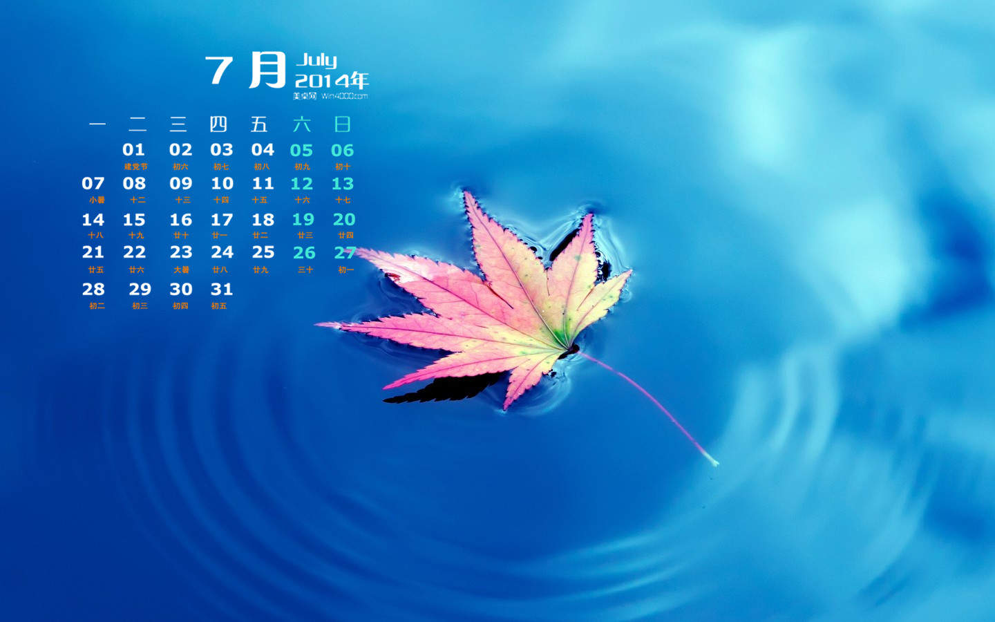 2014年7月日历壁纸清新绿色护眼叶子高清图片(二)图片