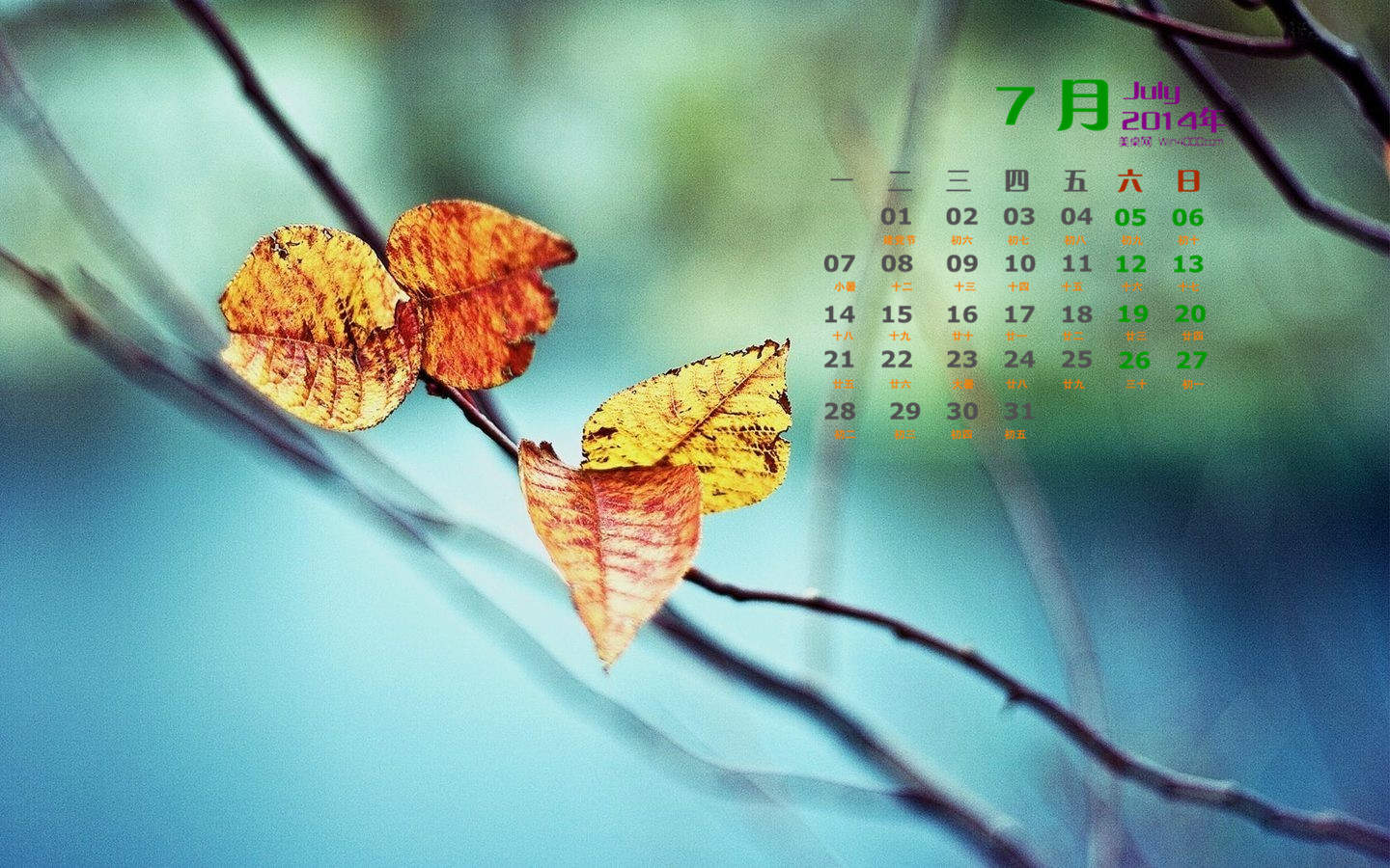 秋天的树叶风景摄影高清宽屏桌面壁纸图片