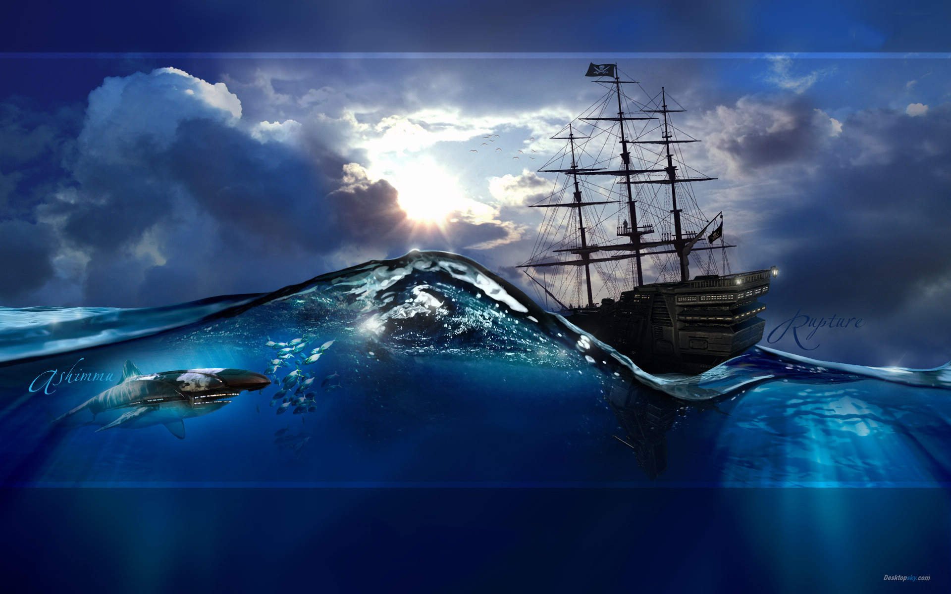 海洋生物可爱的海豚桌面壁纸图片