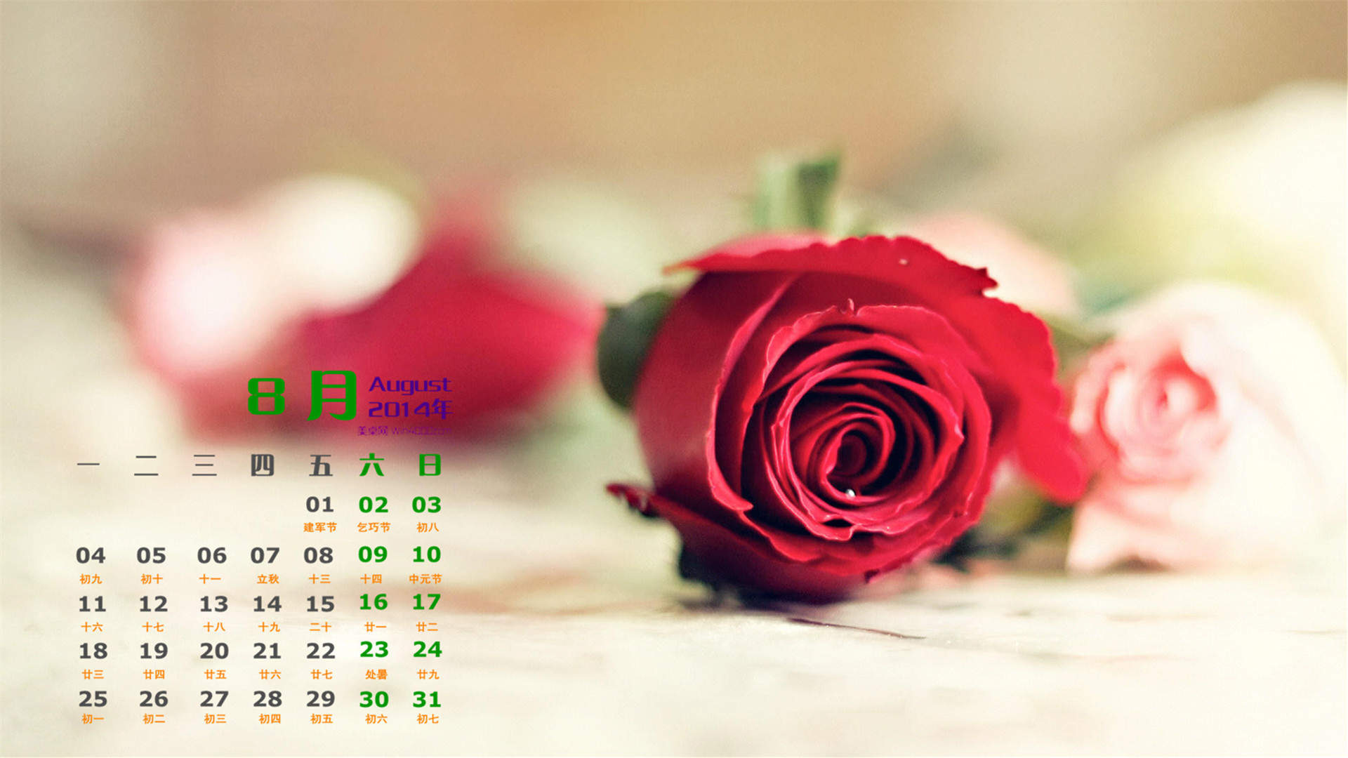 2014年8月日历七夕礼物玫瑰花桌面壁纸图片下载（二）图片