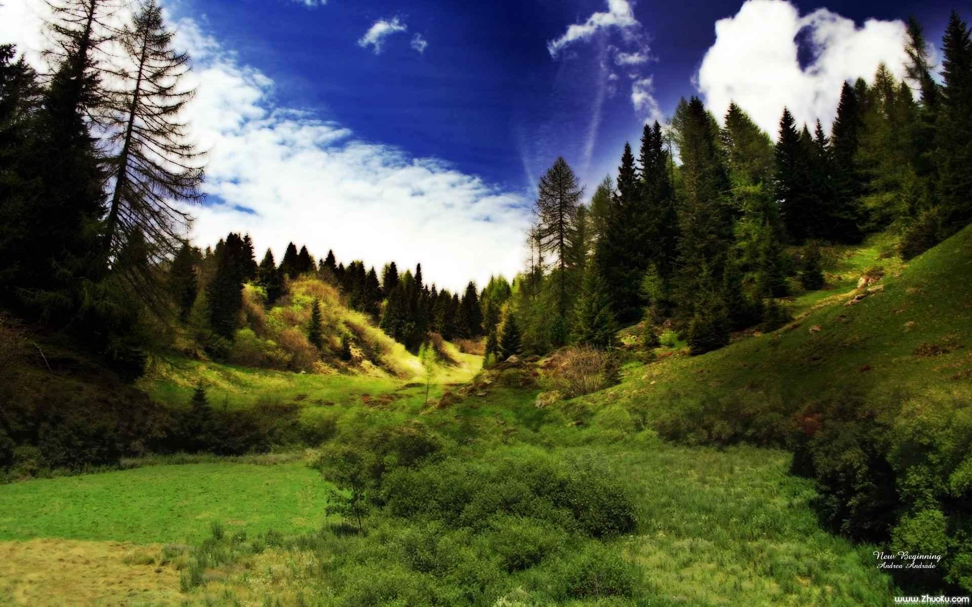 美丽风景图片图片