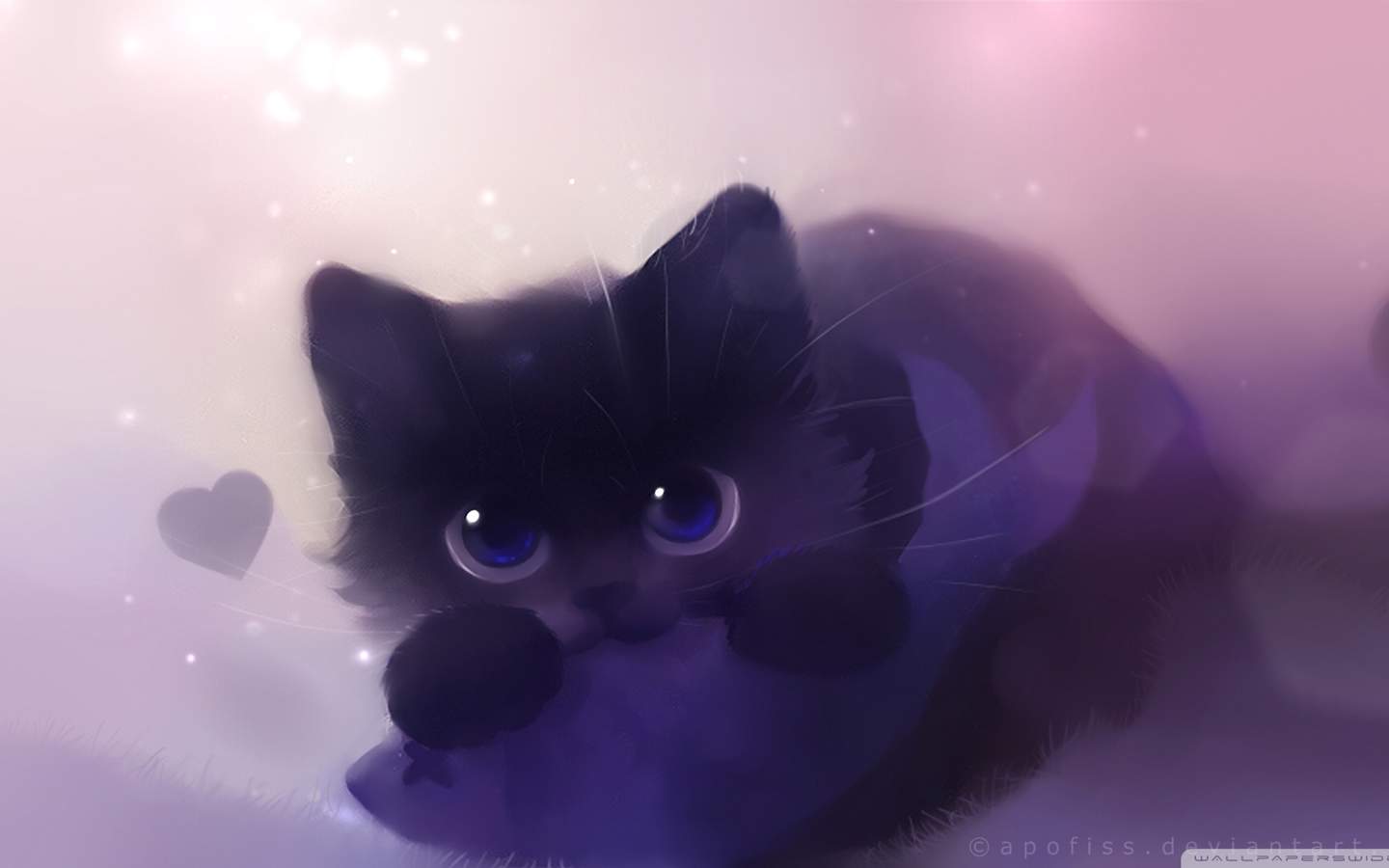 猫咪图片