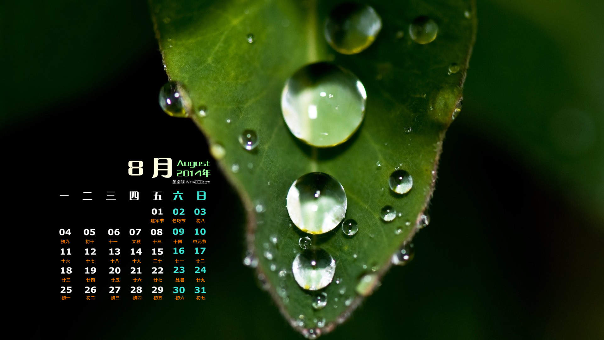 树木图片
