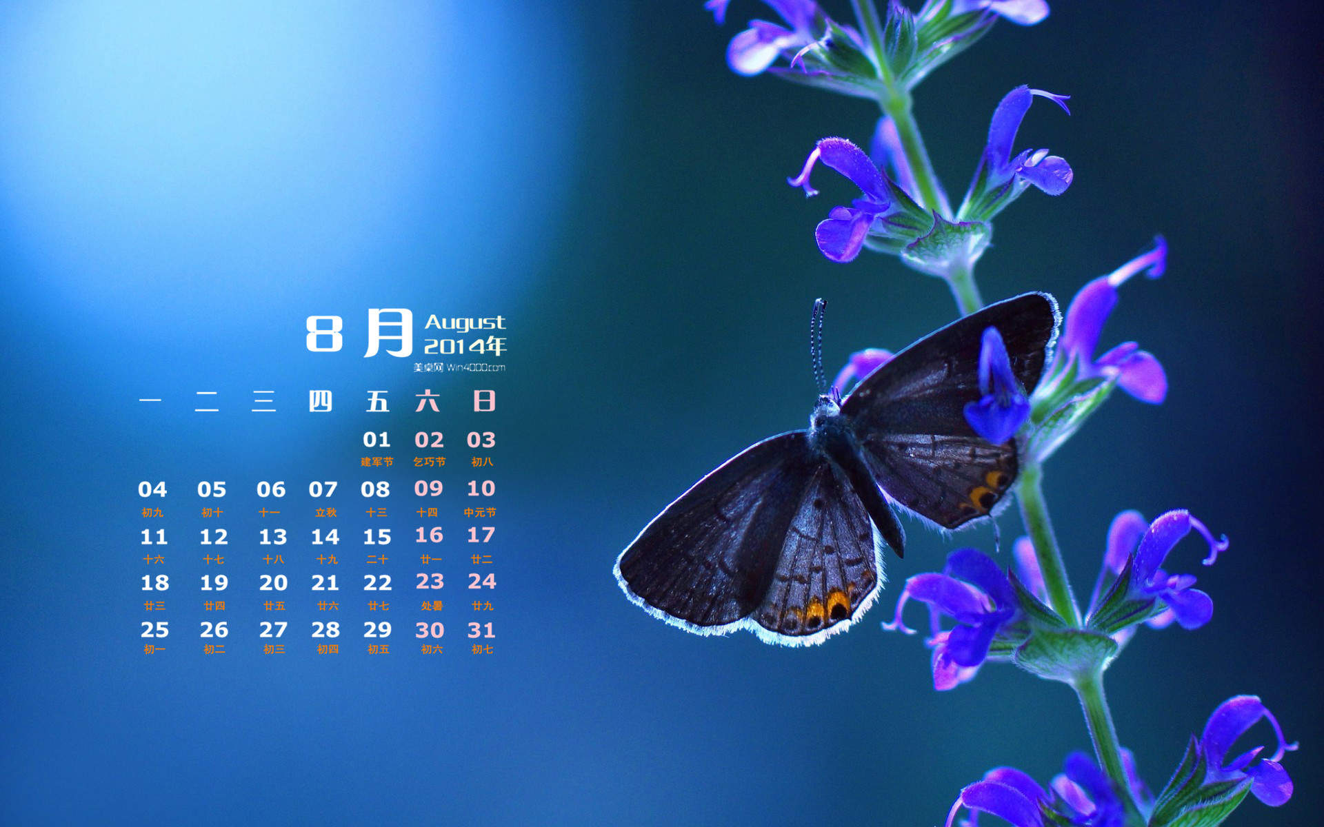 2014年8月日历创意冰块摄影高清电脑桌面主题壁纸(二)图片