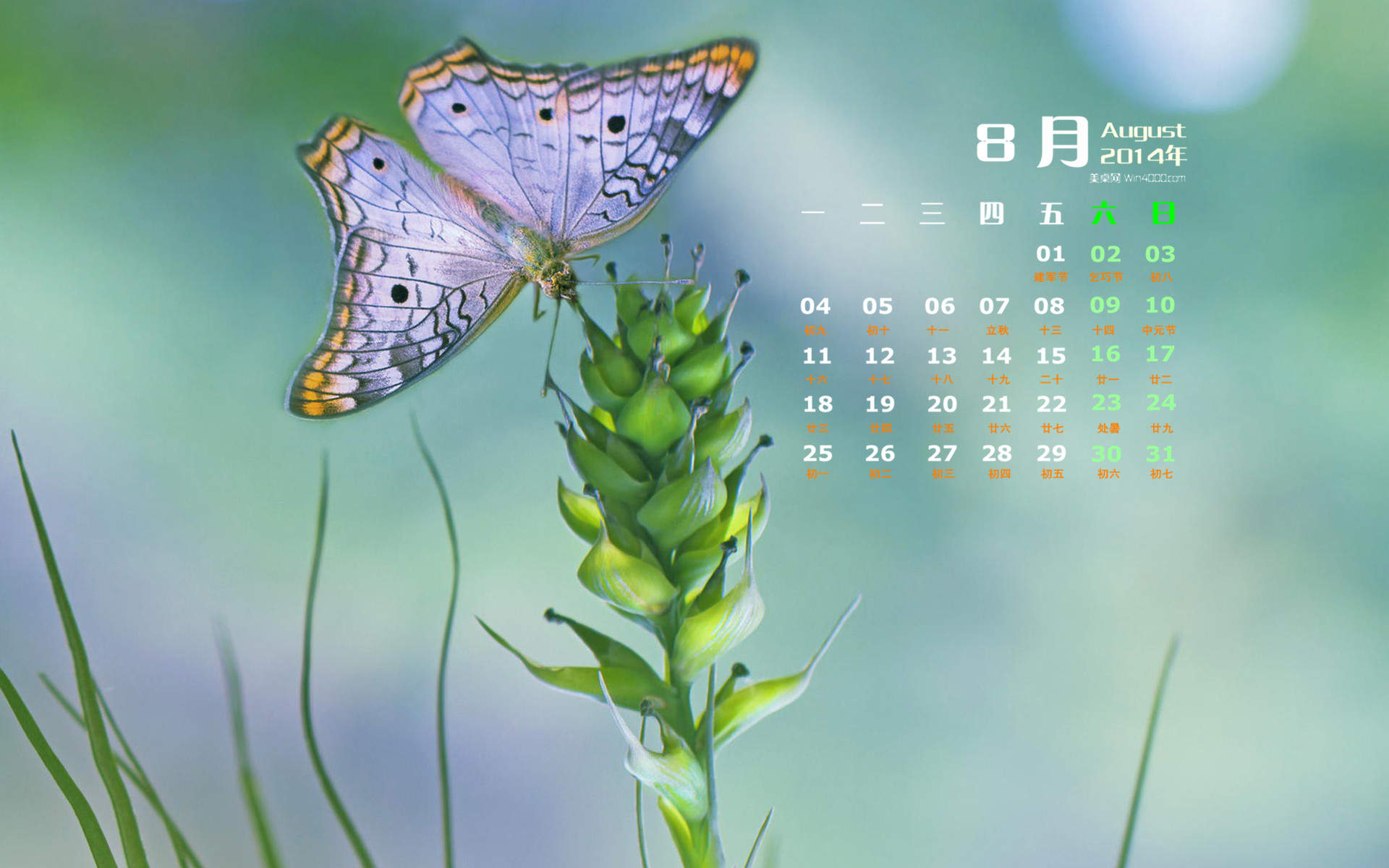 2014年8月日历图片