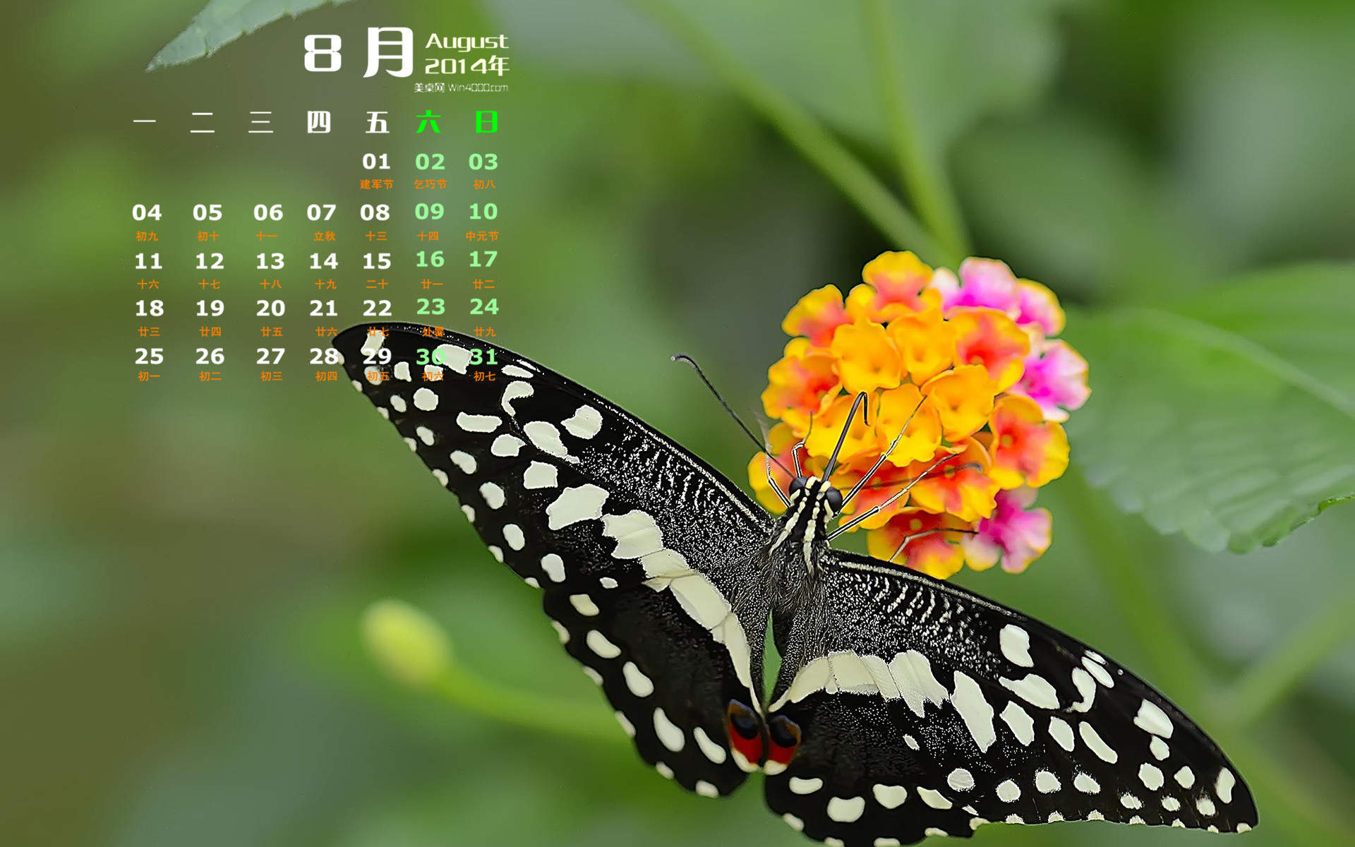 2014年8月日历图片