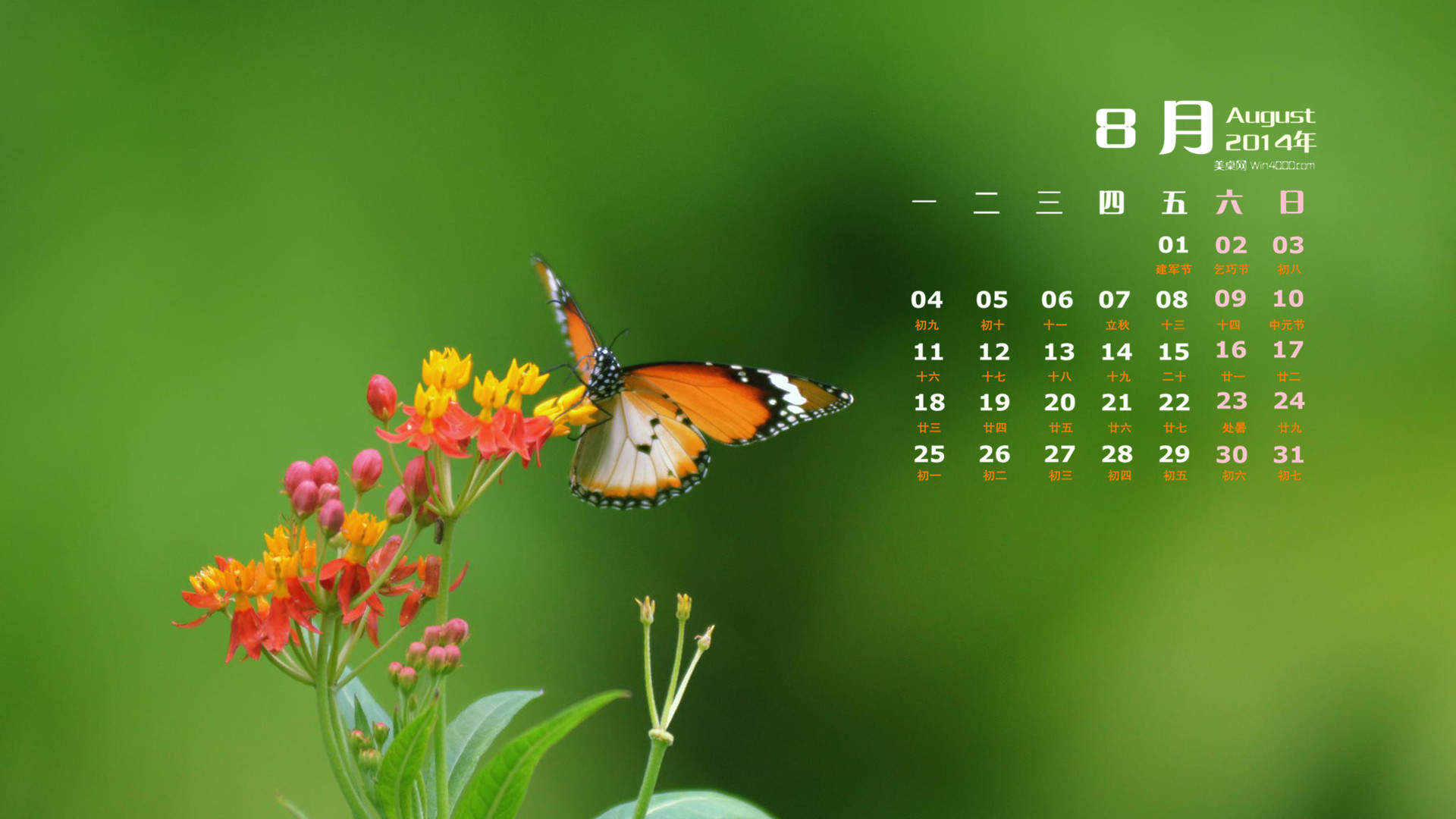 2014年8月日历图片