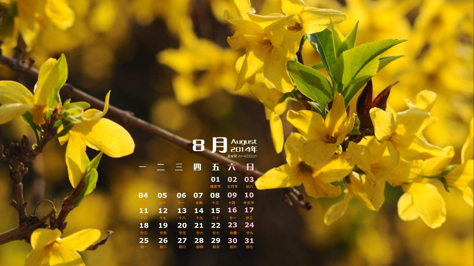 2014年8月日历图片