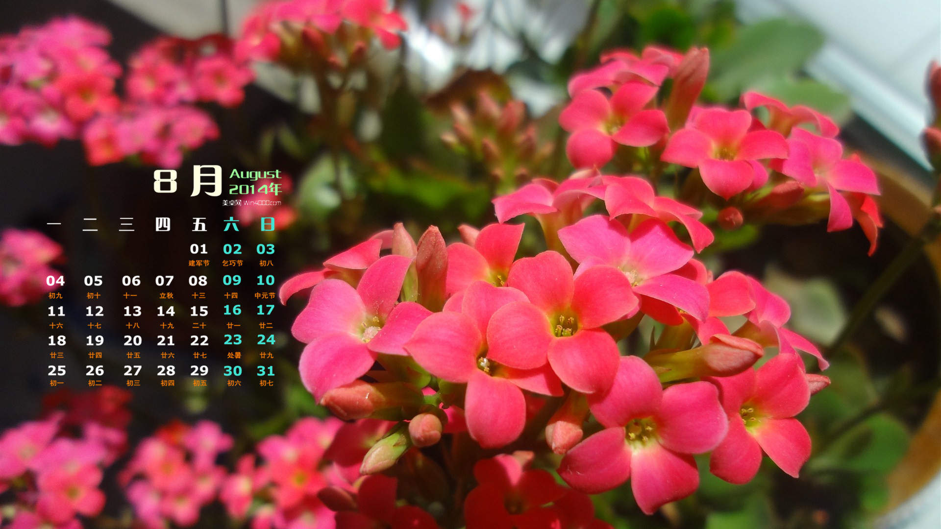 2014年8月日历图片