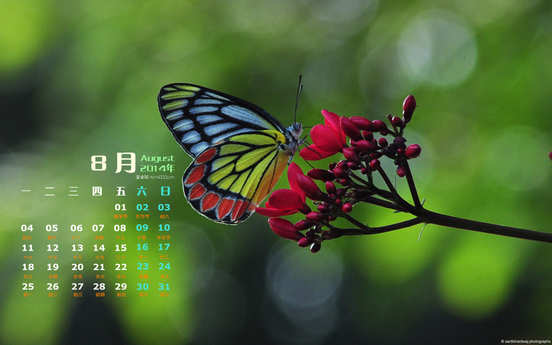 2014年8月日历创意冰块摄影高清电脑桌面主题壁纸(二)图片