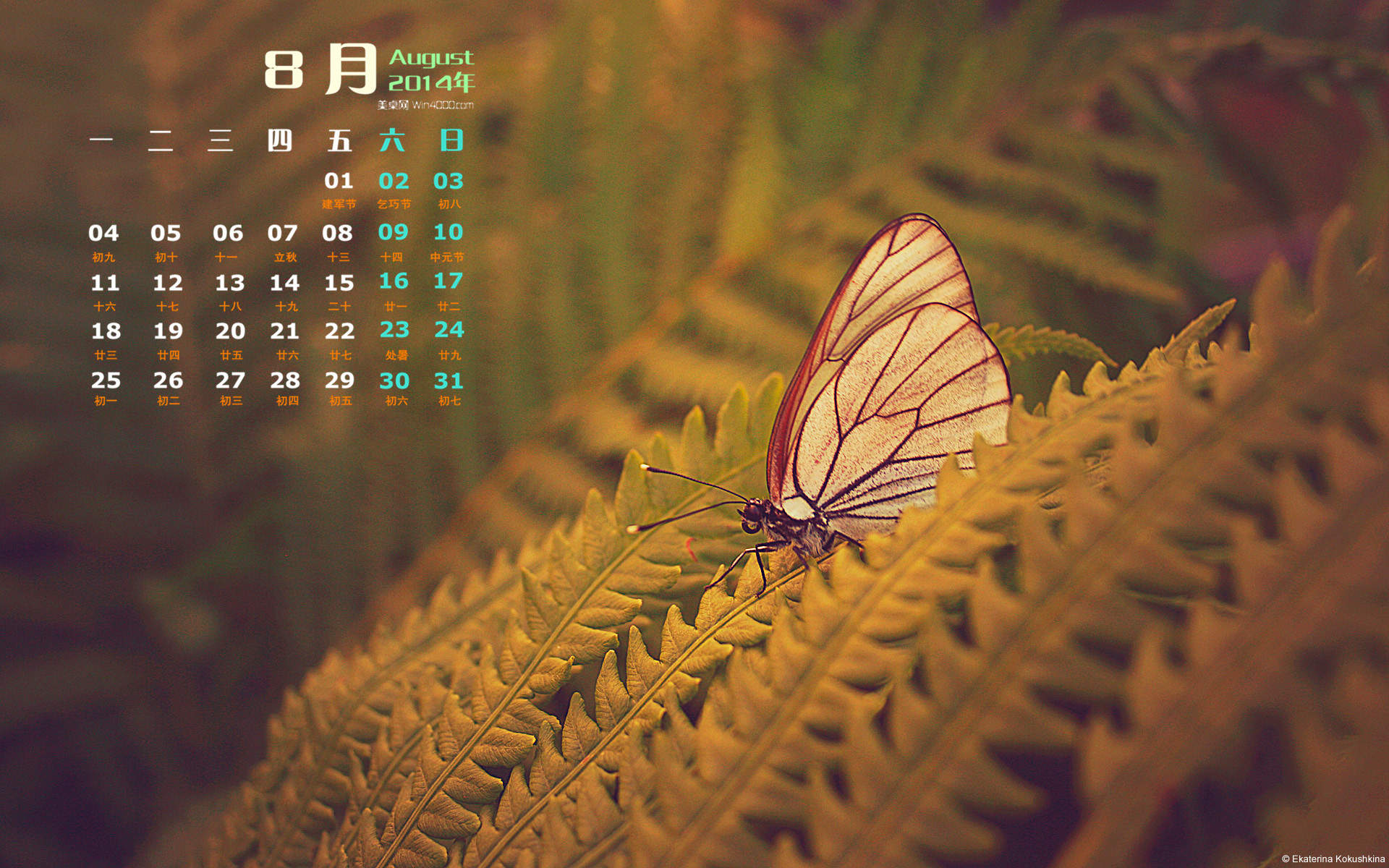 2014年8月日历图片