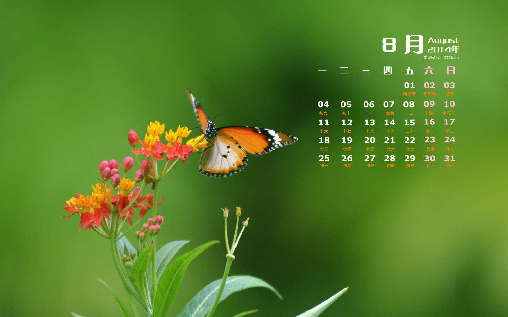 2014年8月日历图片