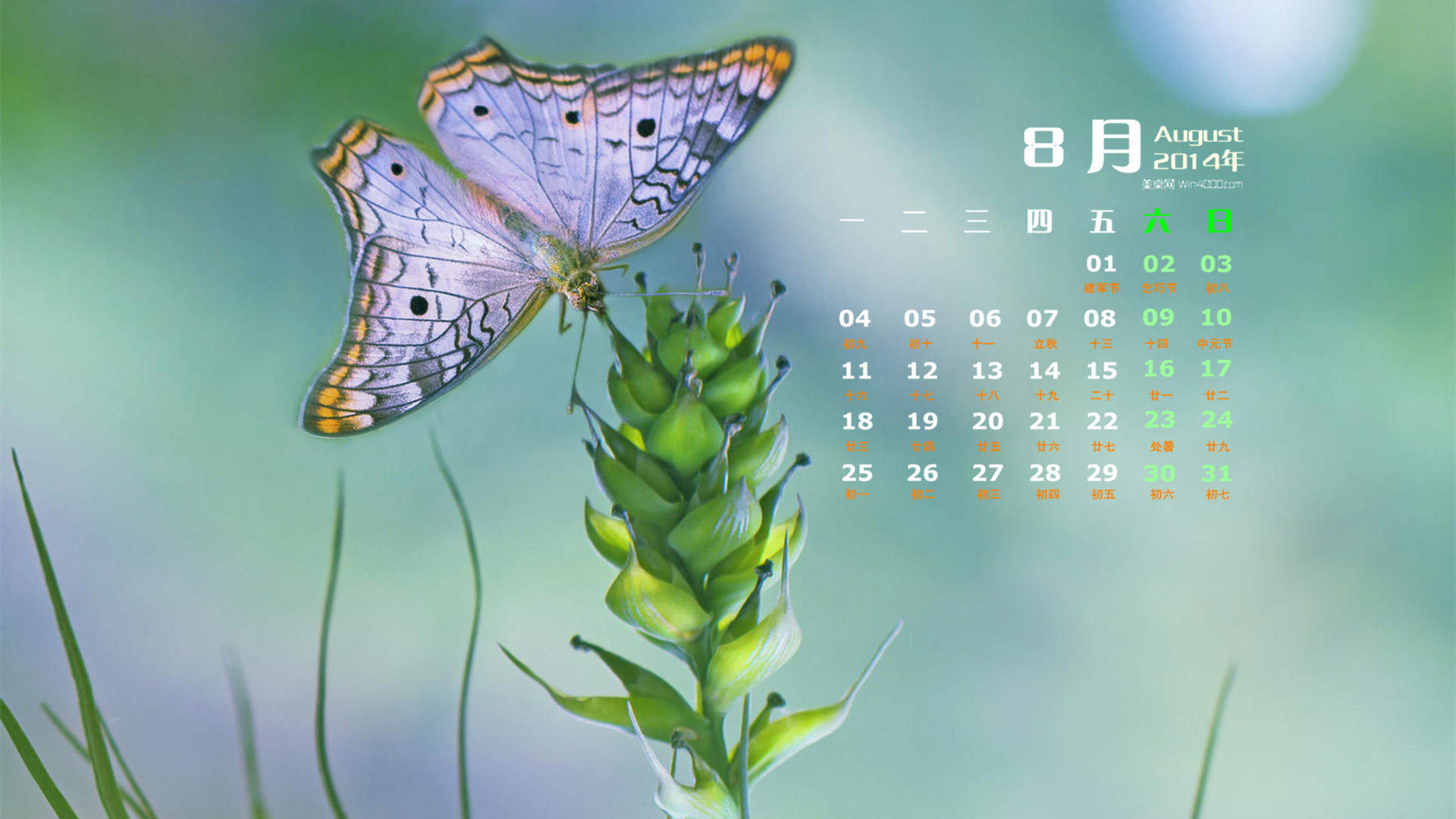 2014年8月日历图片