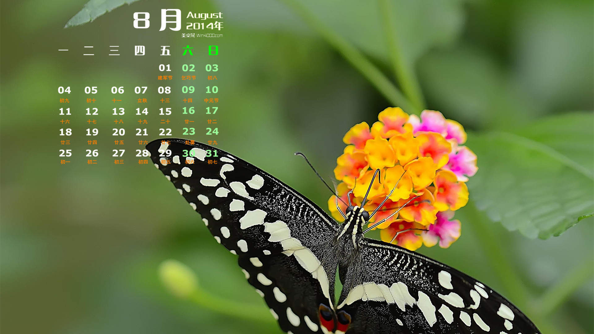 2014年8月日历图片