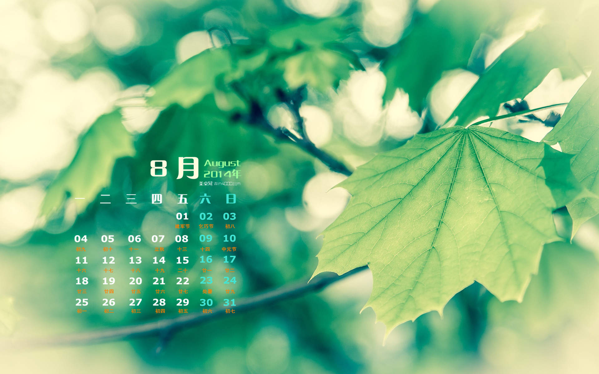 2014年8月日历创意冰块摄影高清电脑桌面主题壁纸(二)图片