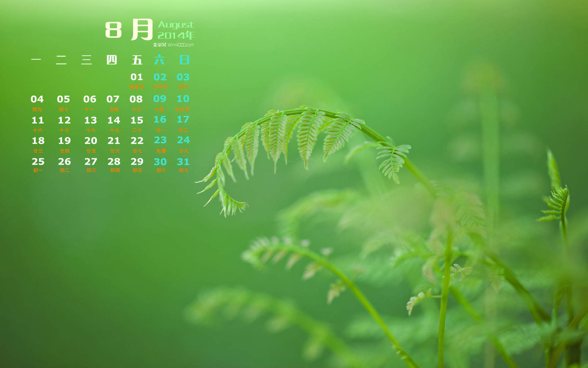 2014年8月日历图片