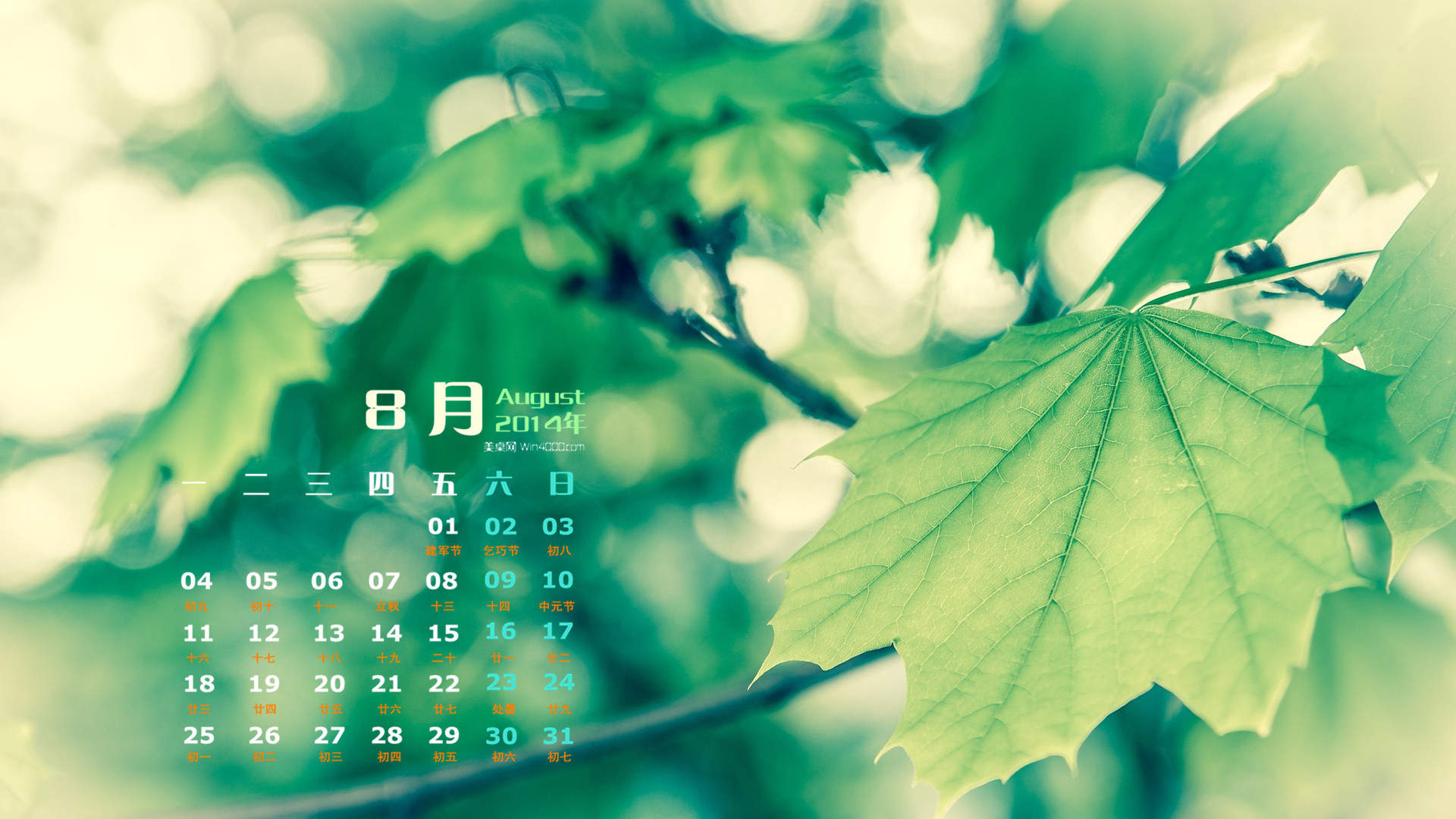 2014年8月日历创意冰块摄影高清电脑桌面主题壁纸(二)图片