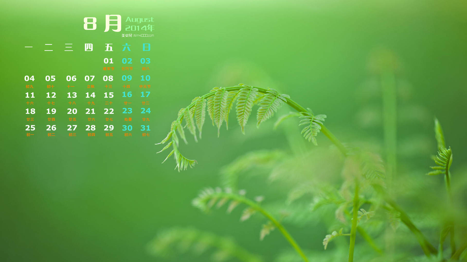 2014年8月日历图片
