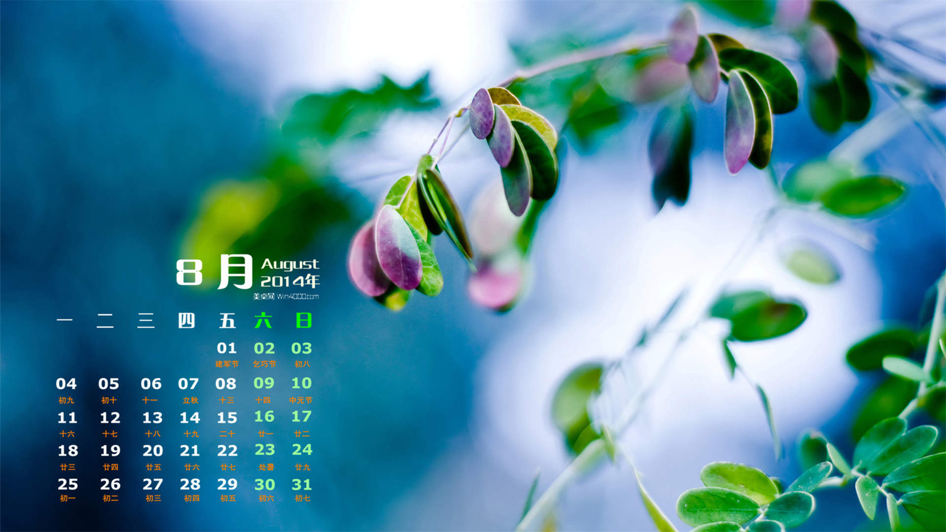 2014年8月日历图片