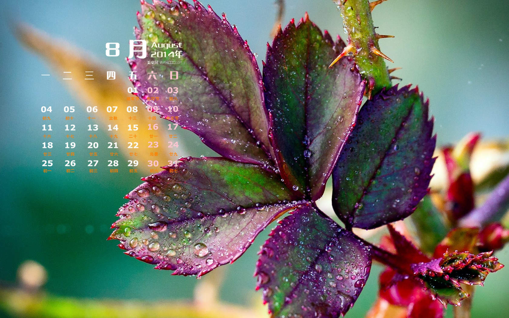 2014年8月日历图片