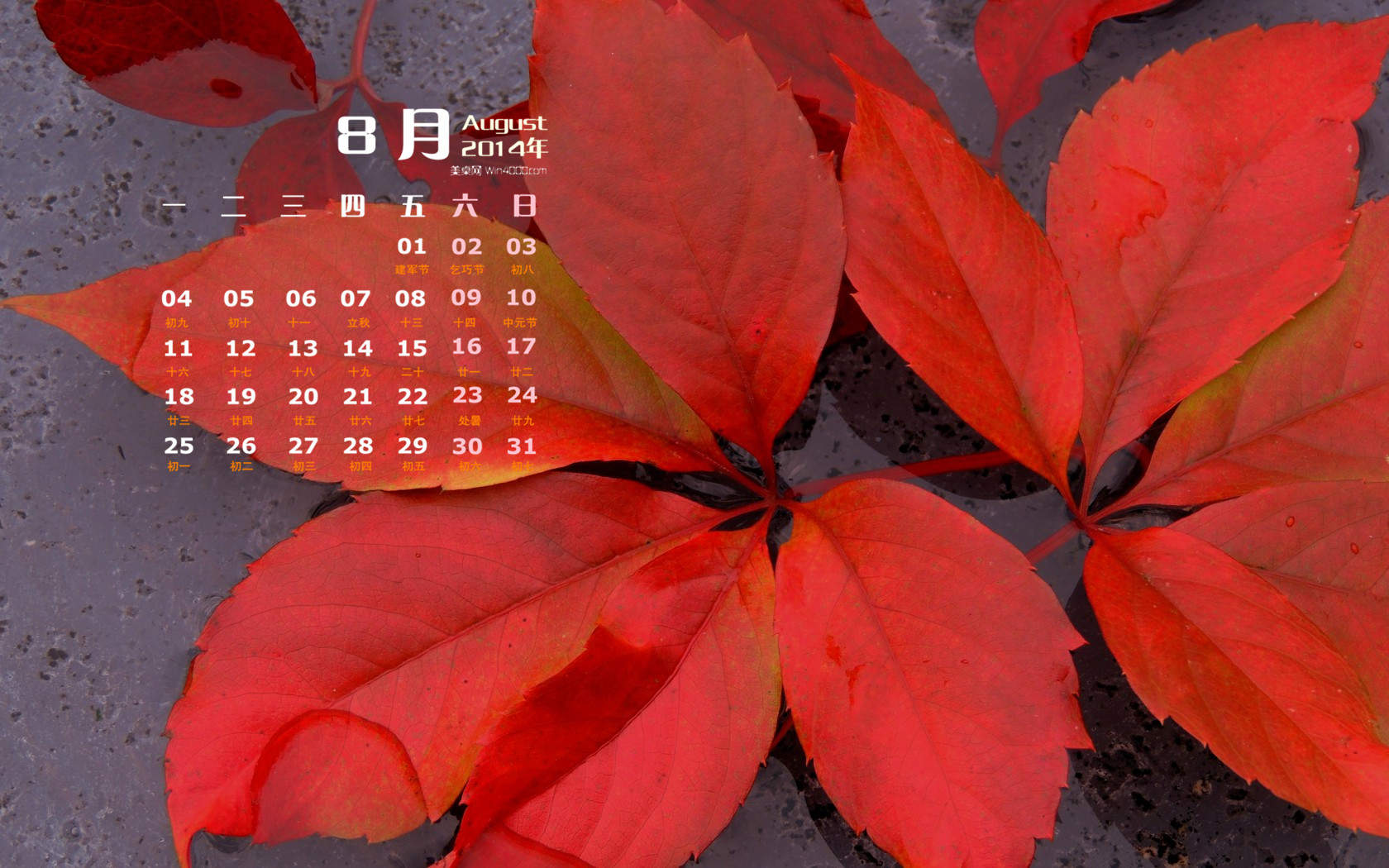 2014年8月日历图片