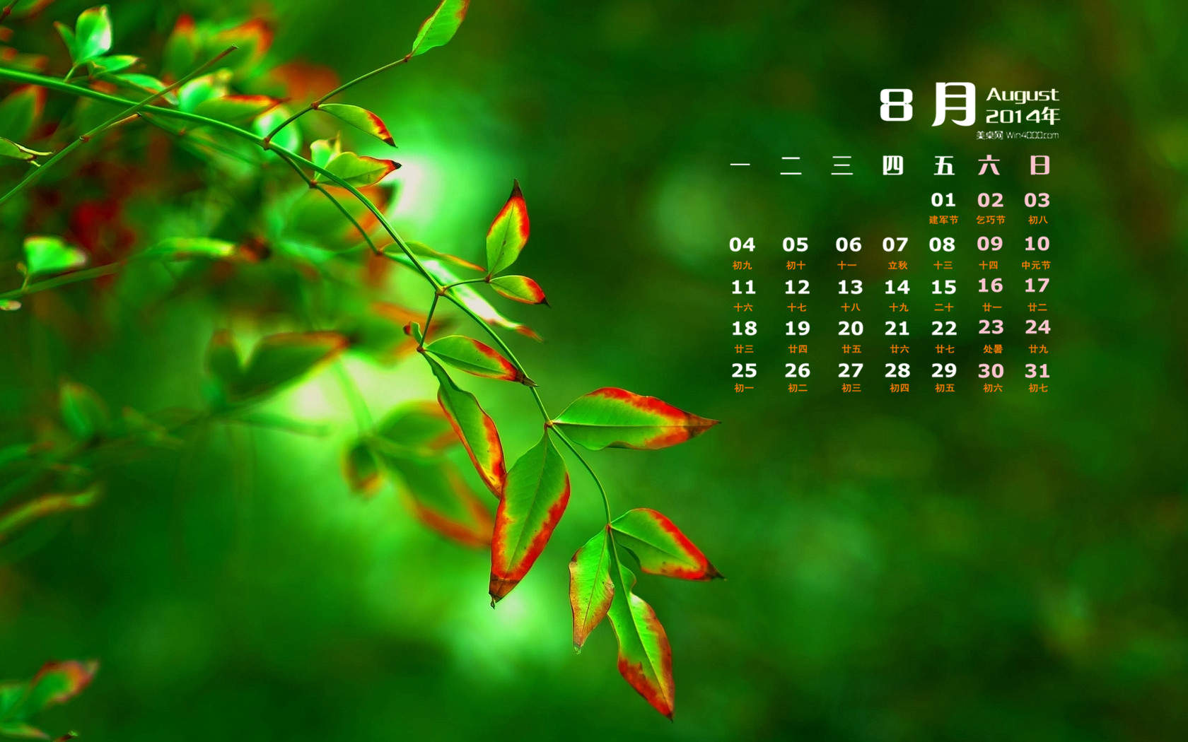 2014年8月日历创意冰块摄影高清电脑桌面主题壁纸(二)图片