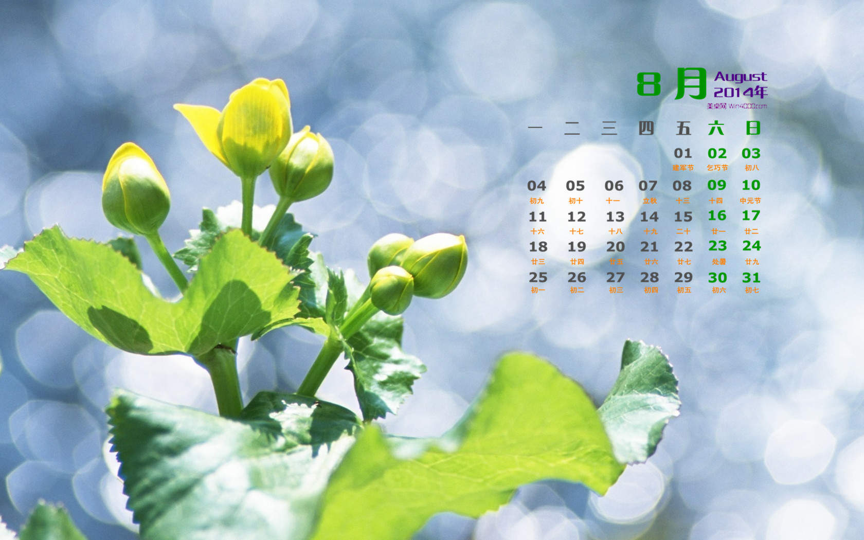 2014年8月日历图片