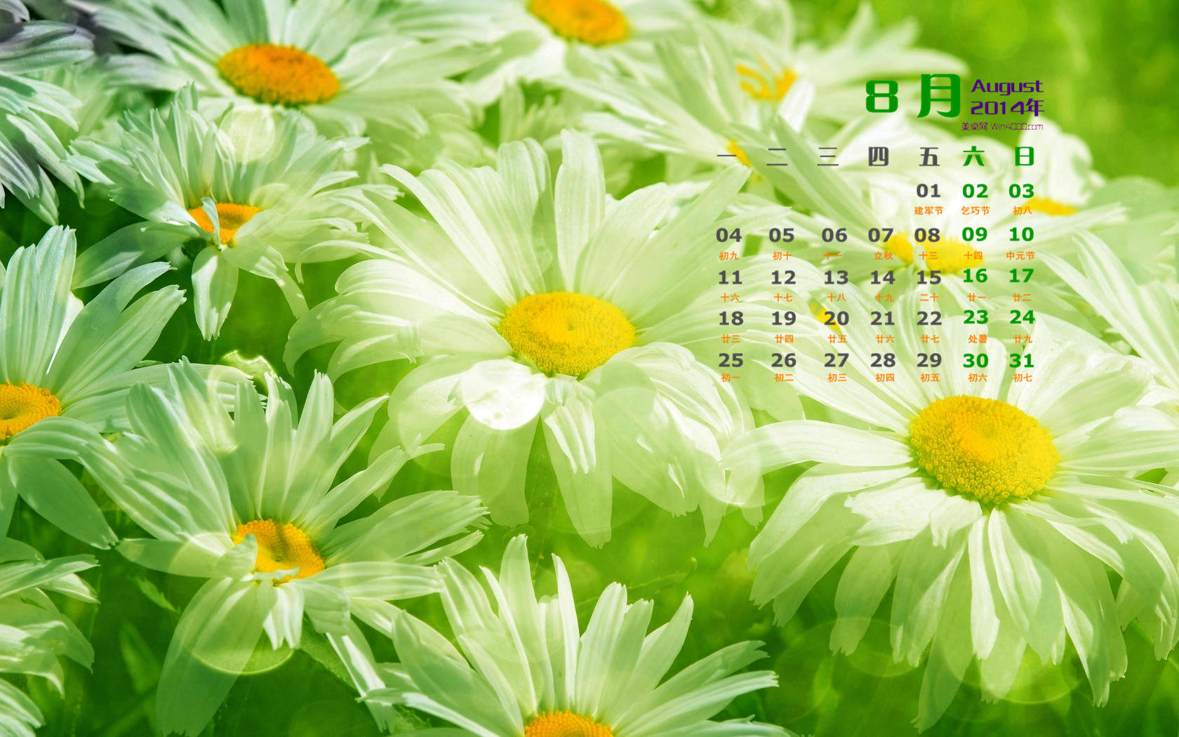 2014年8月日历壁纸性感女星詹妮弗安妮斯顿简约时尚写真图片