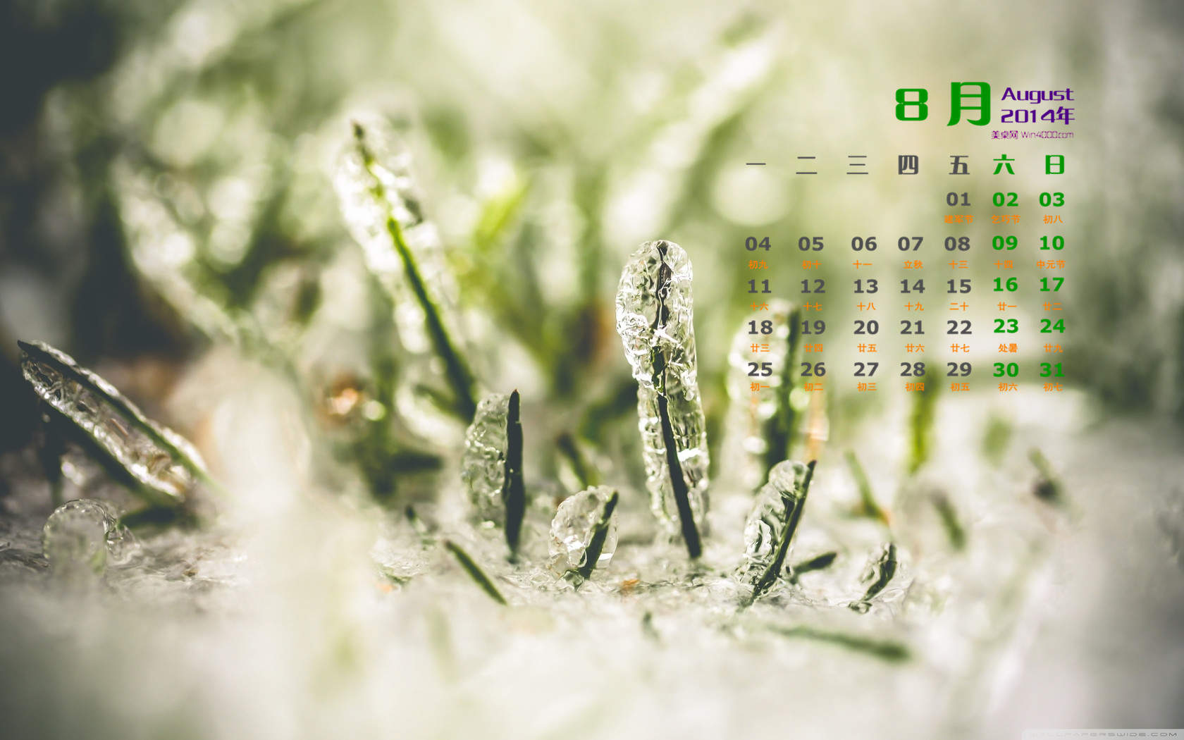2014年8月日历图片