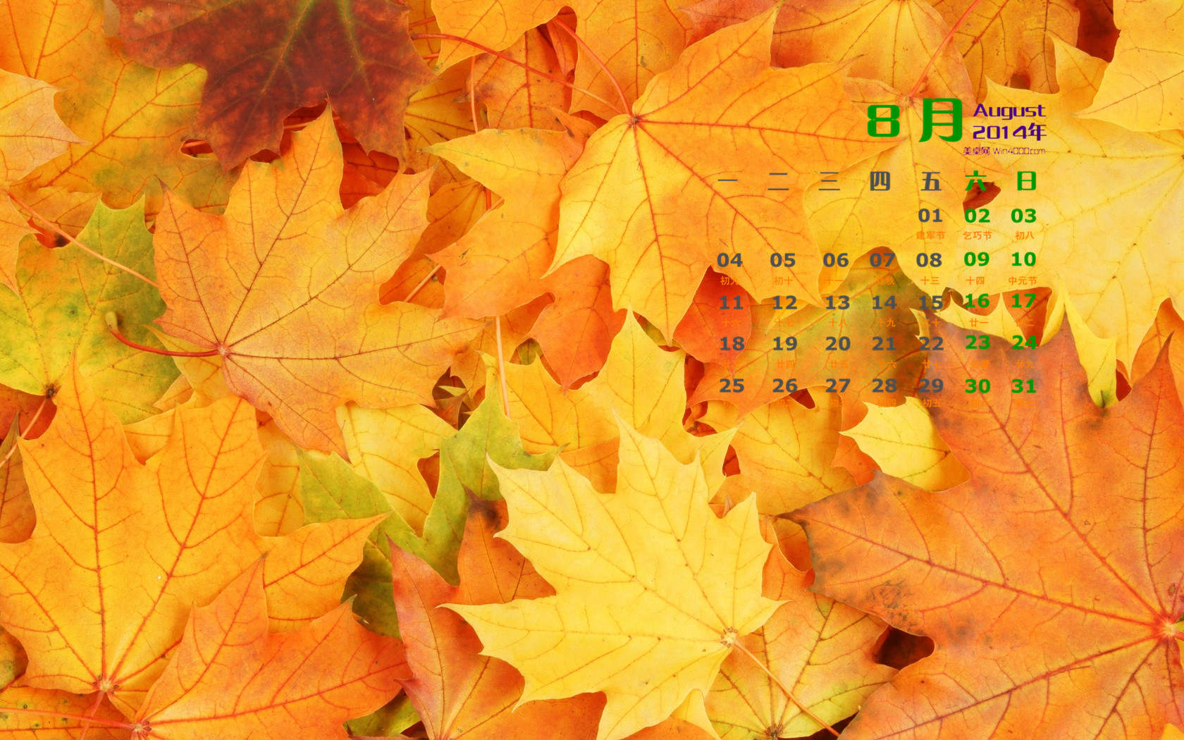 2014年8月日历壁纸性感女星詹妮弗安妮斯顿简约时尚写真图片