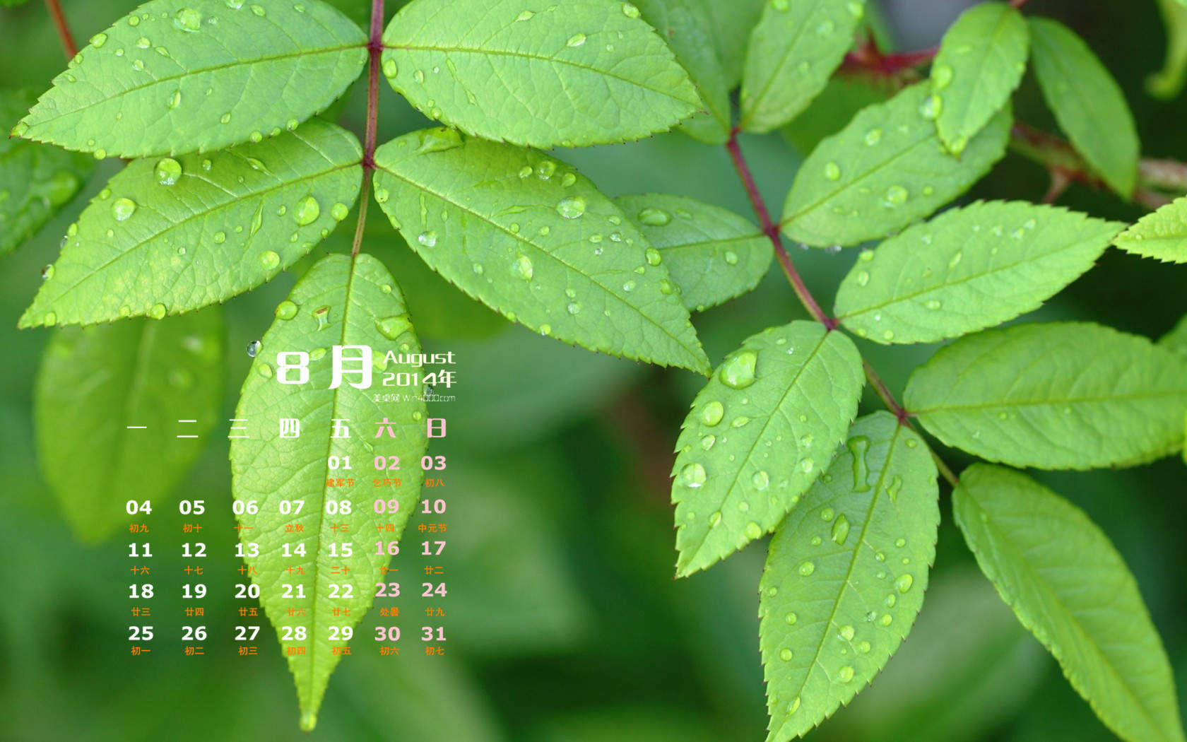 2014年8月日历图片