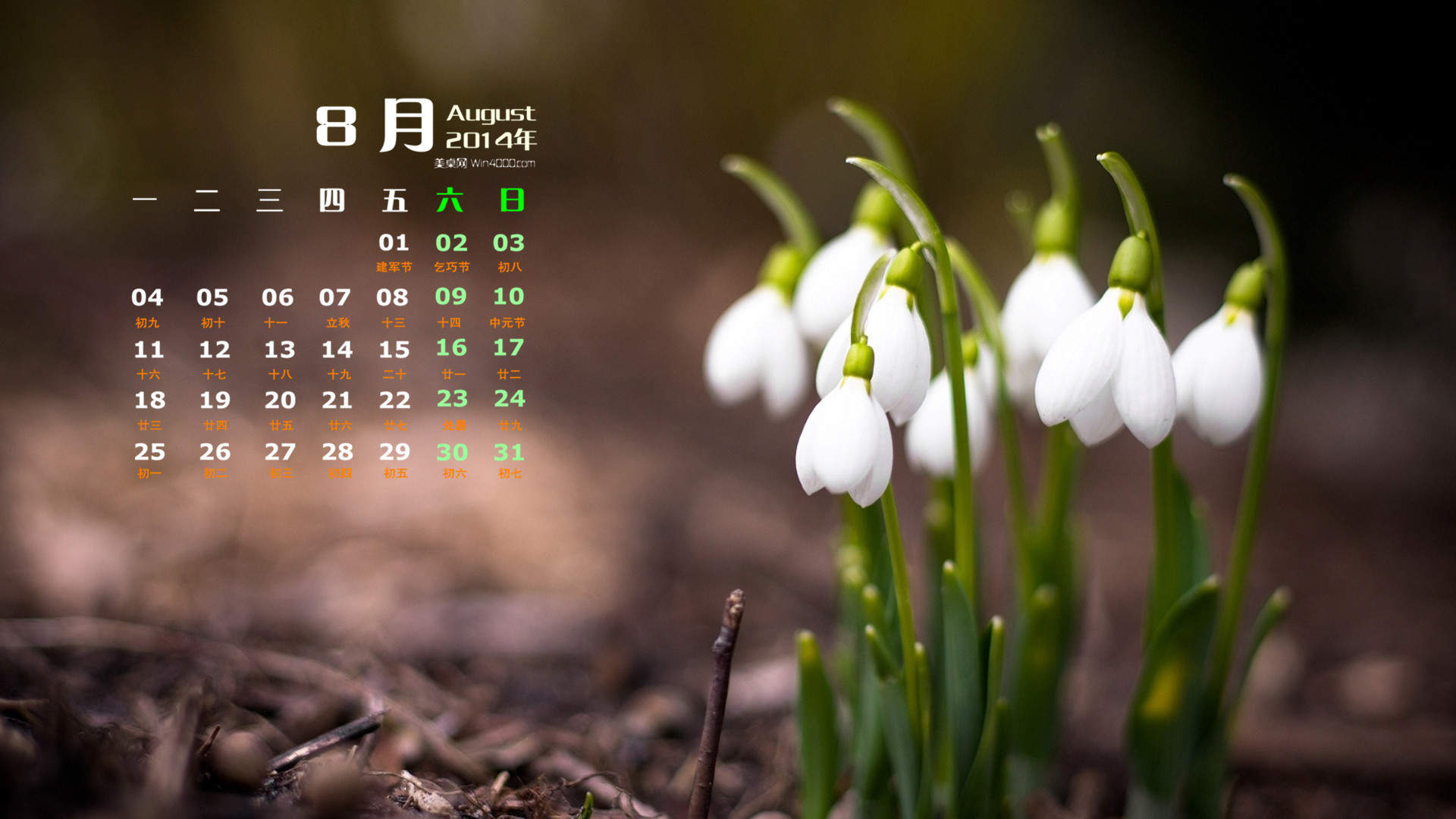 2014年8月日历图片