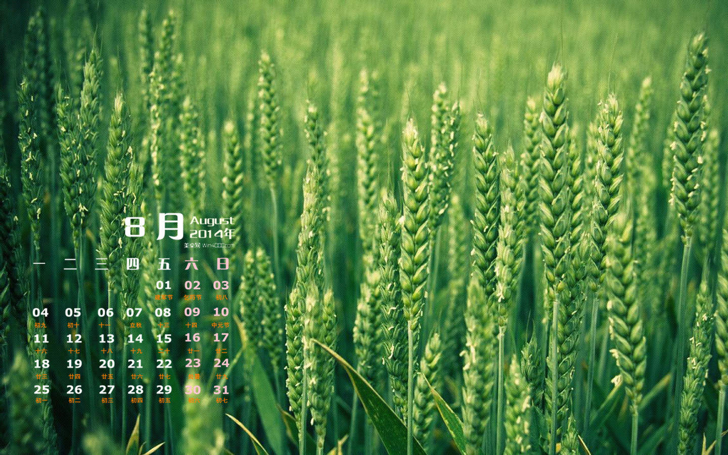 2014年8月日历图片