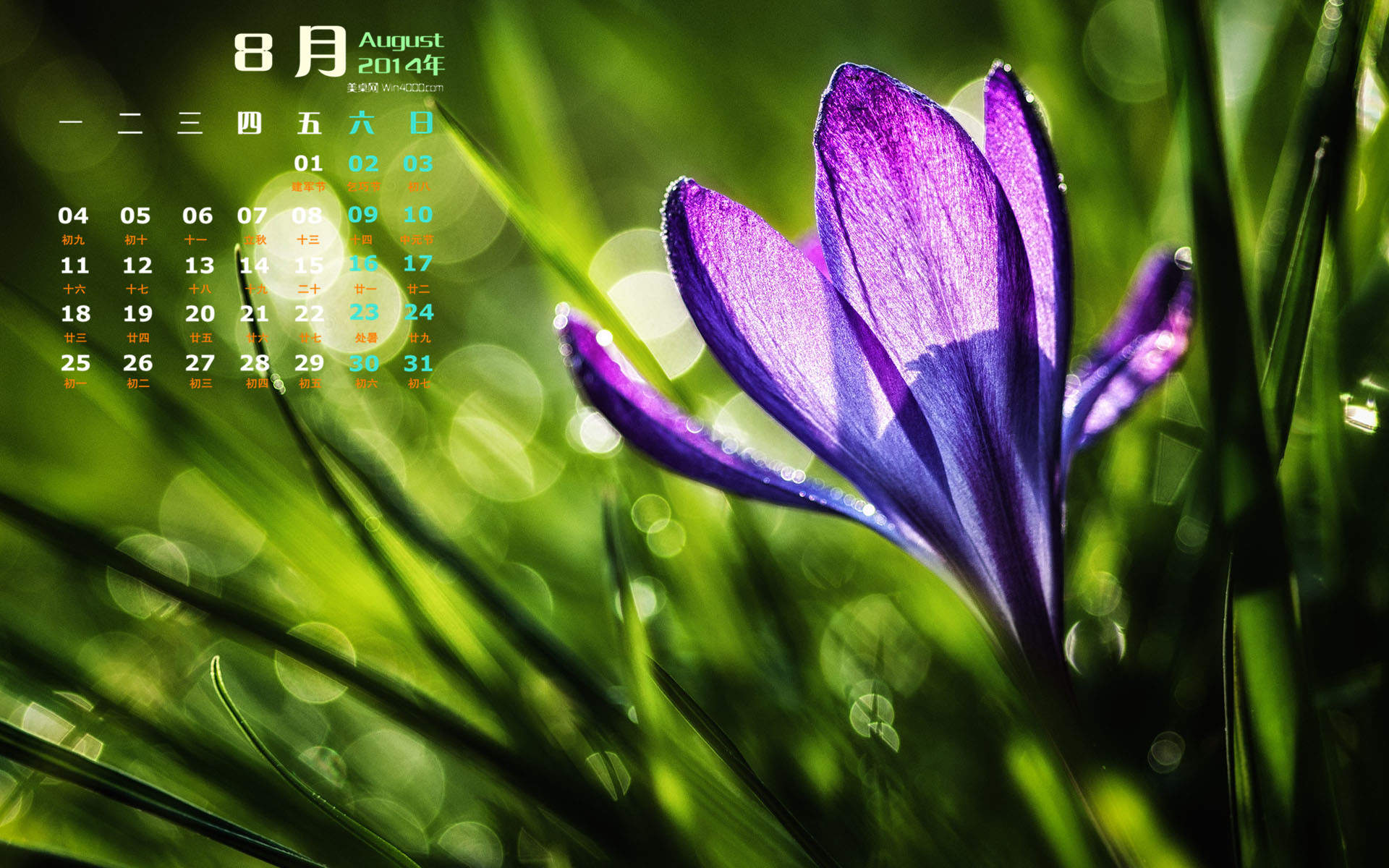 2014年8月日历图片