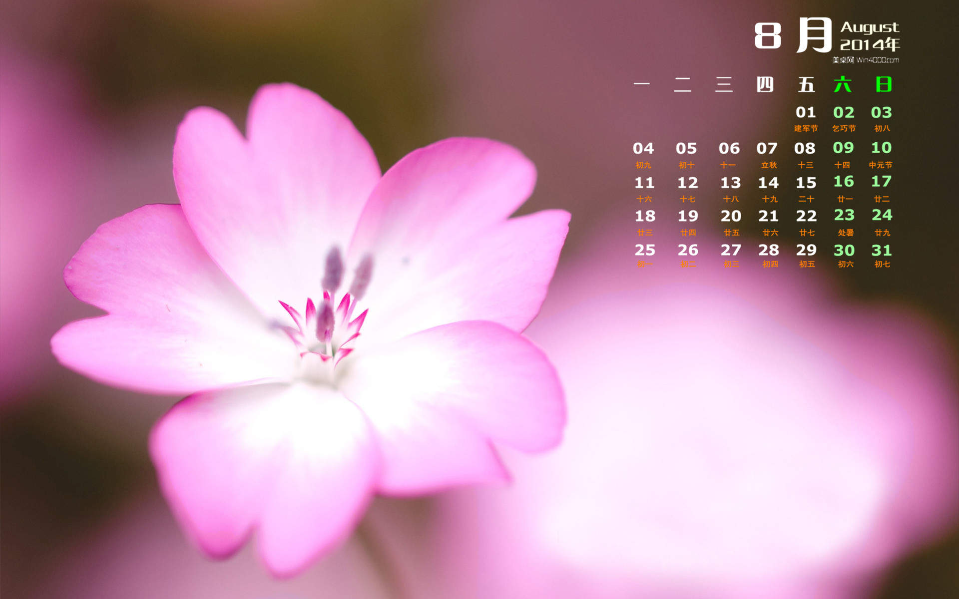 2014年8月日历图片