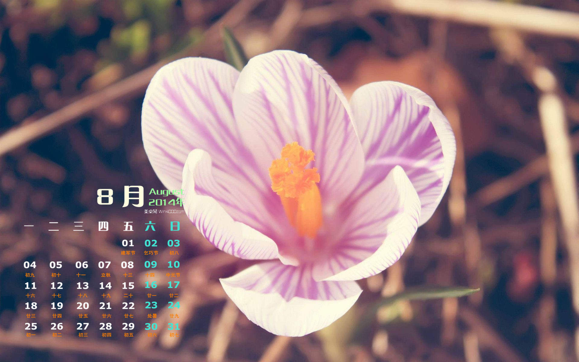 2014年8月日历图片