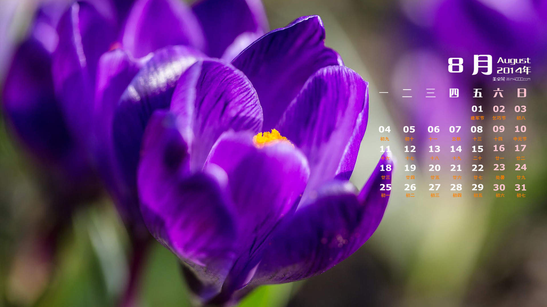 2014年8月日历图片