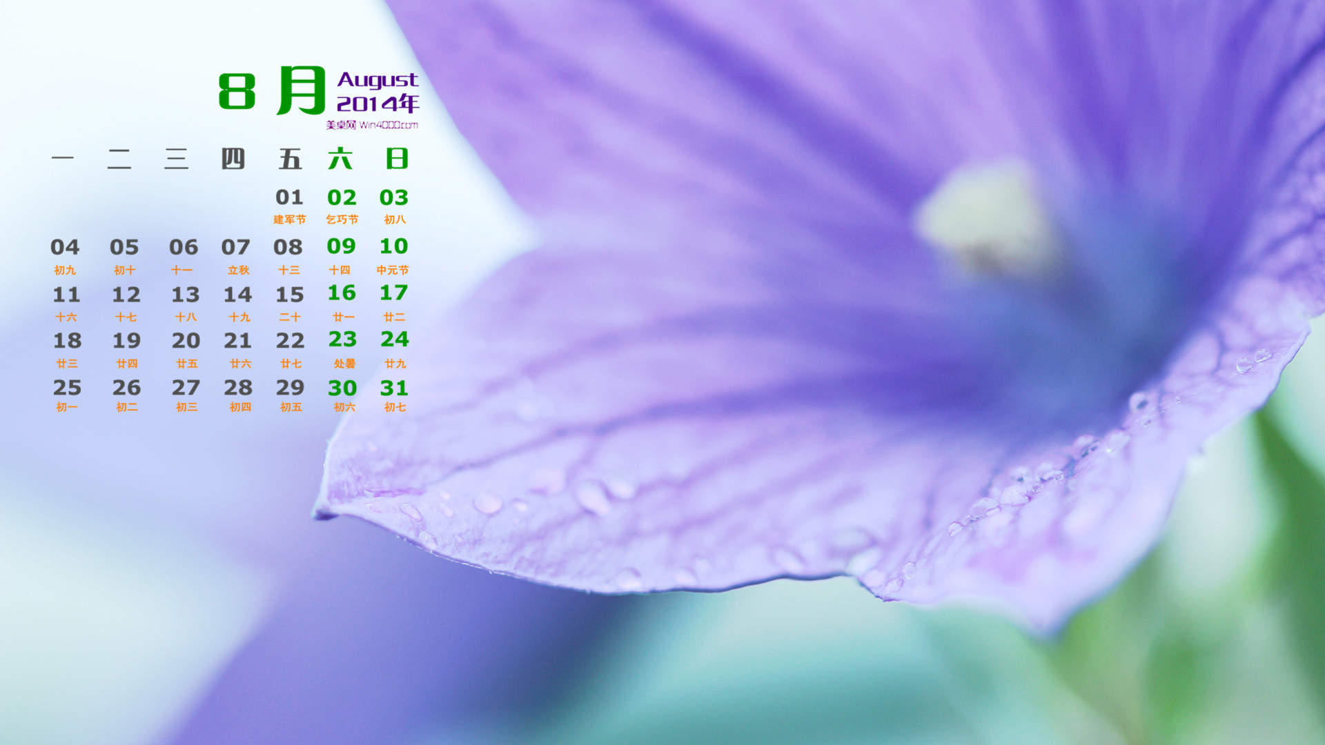 2014年8月日历微距花卉摄影图片win7高清电脑桌面壁纸(四)图片